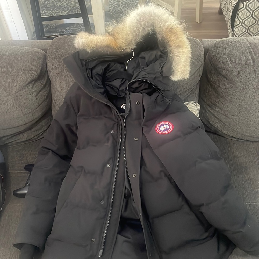 Canadian goose